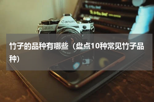 竹子的品种有哪些（盘点10种常见竹子品种）