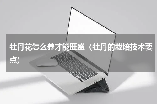 牡丹花怎么养才能旺盛（牡丹的栽培技术要点）