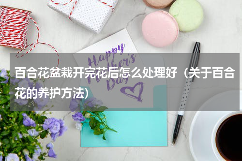 百合花盆栽开完花后怎么处理好（关于百合花的养护方法）