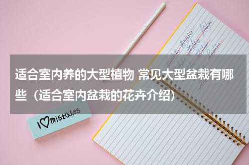 适合室内养的大型植物 常见大型盆栽有哪些（适合室内盆栽的花卉介绍）