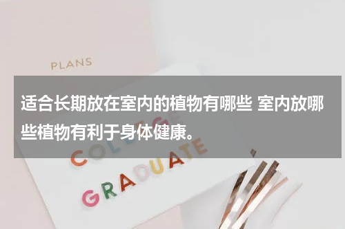 适合长期放在室内的植物有哪些 室内放哪些植物有利于身体健康。