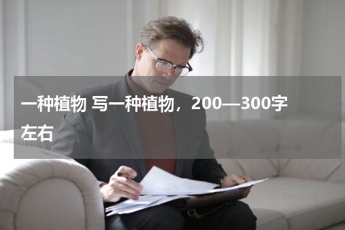 一种植物 写一种植物，200—300字左右