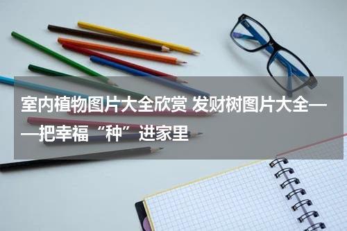 室内植物图片大全欣赏 发财树图片大全——把幸福“种”进家里