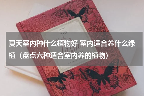 夏天室内种什么植物好 室内适合养什么绿植（盘点六种适合室内养的植物）