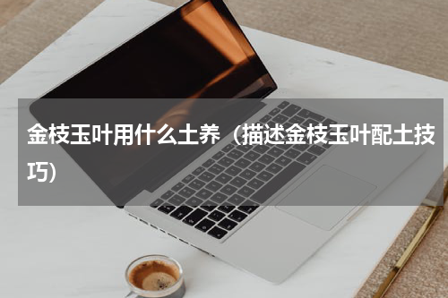 金枝玉叶用什么土养（描述金枝玉叶配土技巧）