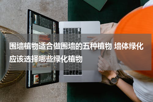 围墙植物适合做围墙的五种植物 墙体绿化应该选择哪些绿化植物