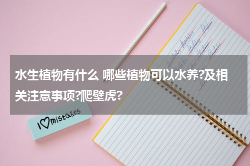 水生植物有什么 哪些植物可以水养?及相关注意事项?爬壁虎?