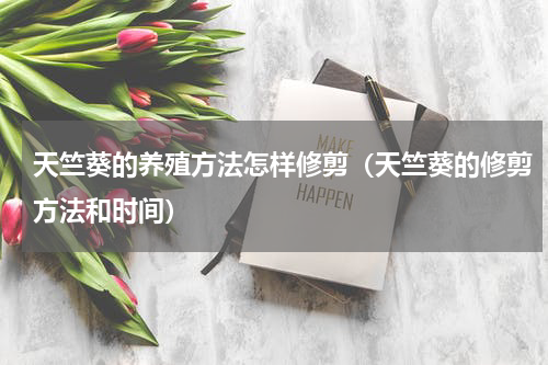 天竺葵的养殖方法怎样修剪（天竺葵的修剪方法和时间）