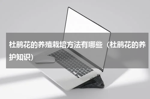 杜鹃花的养殖栽培方法有哪些（杜鹃花的养护知识）