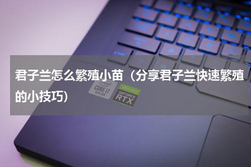 君子兰怎么繁殖小苗（分享君子兰快速繁殖的小技巧）