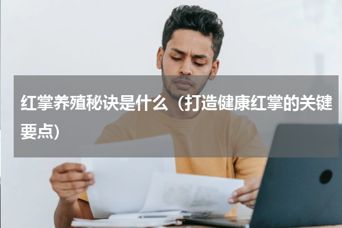 红掌养殖秘诀是什么（打造健康红掌的关键要点）