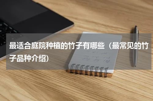 最适合庭院种植的竹子有哪些（最常见的竹子品种介绍）