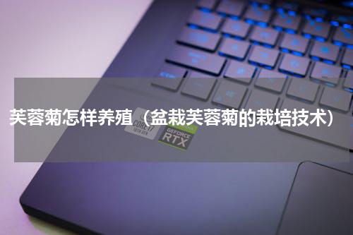 芙蓉菊怎样养殖（盆栽芙蓉菊的栽培技术）