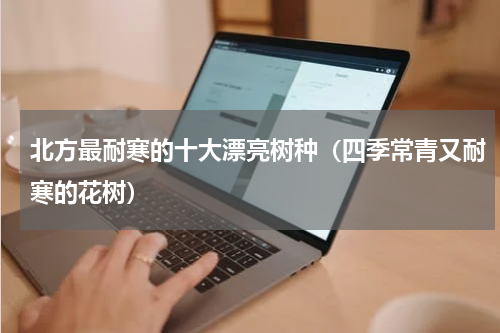北方最耐寒的十大漂亮树种（四季常青又耐寒的花树）