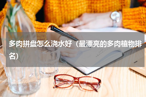 多肉拼盘怎么浇水好（最漂亮的多肉植物排名）
