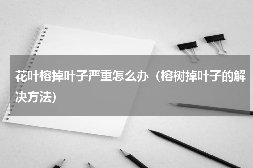 花叶榕掉叶子严重怎么办（榕树掉叶子的解决方法）