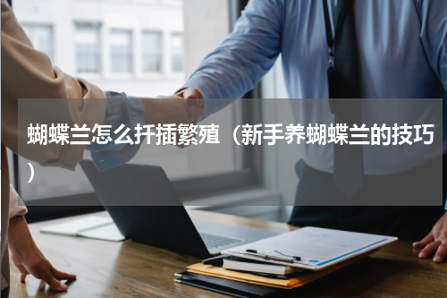 蝴蝶兰怎么扦插繁殖（新手养蝴蝶兰的技巧）