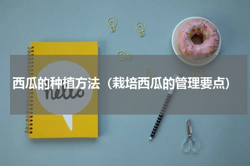 西瓜的种植方法（栽培西瓜的管理要点）