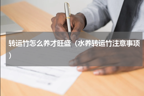 转运竹怎么养才旺盛（水养转运竹注意事项）
