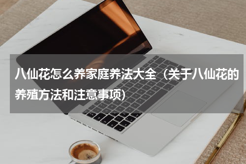 八仙花怎么养家庭养法大全（关于八仙花的养殖方法和注意事项）