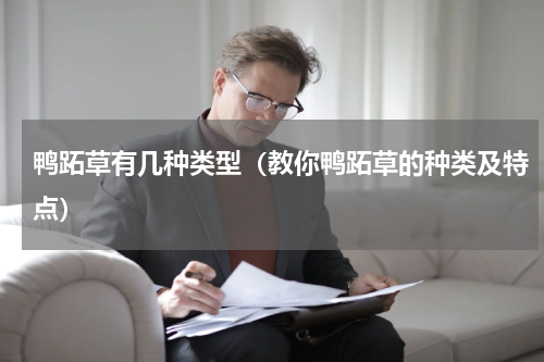 鸭跖草有几种类型（教你鸭跖草的种类及特点）