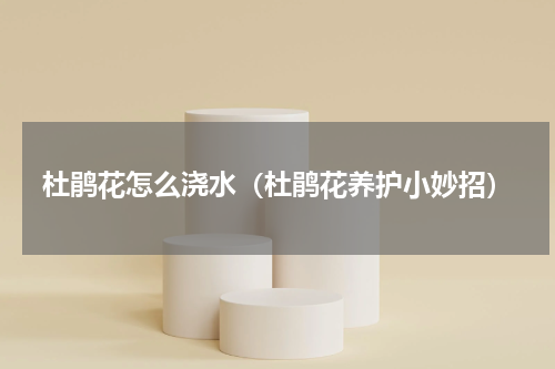 杜鹃花怎么浇水（杜鹃花养护小妙招）