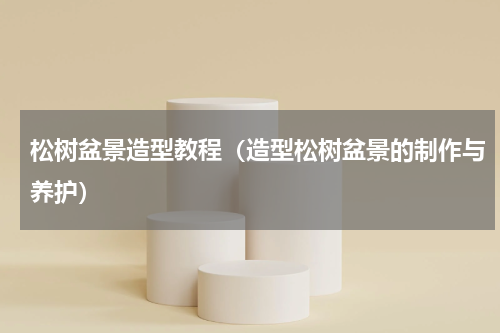 松树盆景造型教程（造型松树盆景的制作与养护）