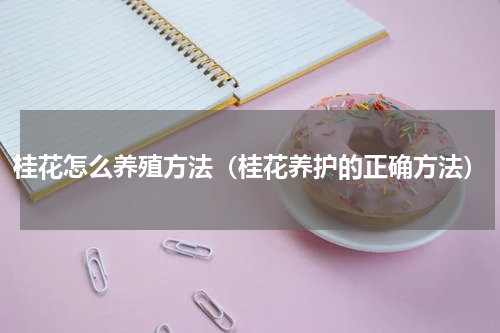 桂花怎么养殖方法（桂花养护的正确方法）