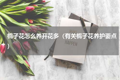 栀子花怎么养开花多（有关栀子花养护要点）