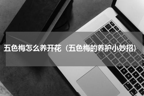 五色梅怎么养开花（五色梅的养护小妙招）
