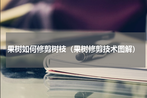 果树如何修剪树枝（果树修剪技术图解）