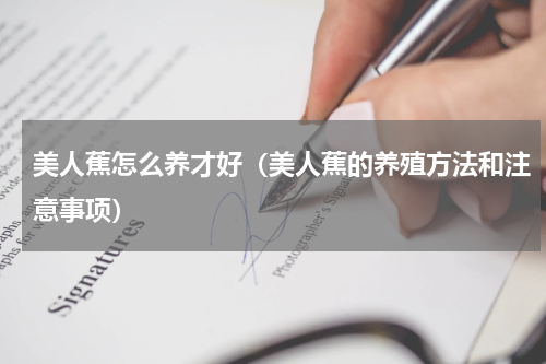 美人蕉怎么养才好（美人蕉的养殖方法和注意事项）