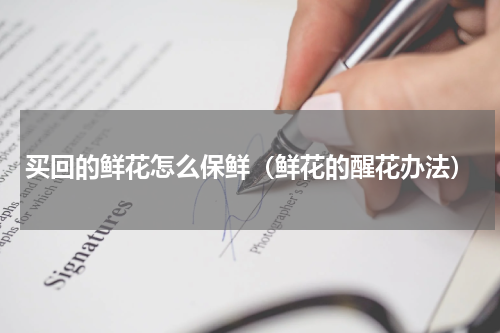买回的鲜花怎么保鲜（鲜花的醒花办法）
