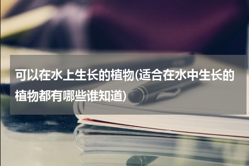 可以在水上生长的植物(适合在水中生长的植物都有哪些谁知道)