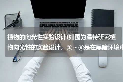 植物的向光性实验设计(如图为温特研究植物向光性的实验设计，①～⑥是在黑暗环境中对切去尖端的胚芽鞘进行的不同处理．下列分析)