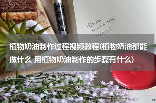 植物奶油制作过程视频教程(植物奶油都能做什么 用植物奶油制作的步骤有什么)