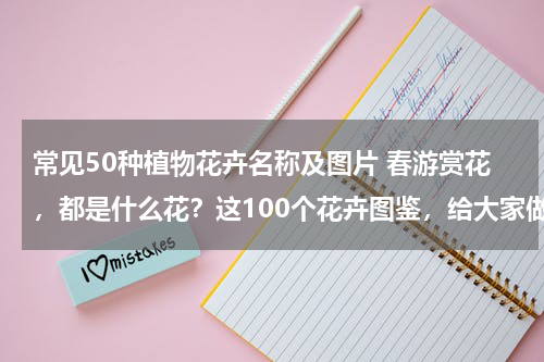 常见50种植物花卉名称及图片 春游赏花，都是什么花？这100个花卉图鉴，给大家做科普，涨知识-