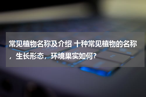 常见植物名称及介绍 十种常见植物的名称，生长形态，环境果实如何？
