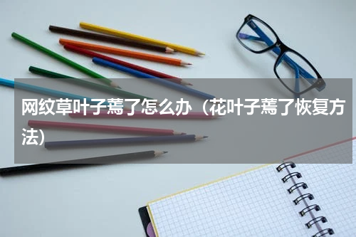 网纹草叶子蔫了怎么办（花叶子蔫了恢复方法）