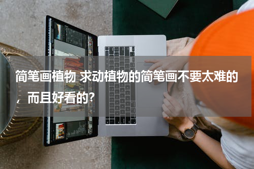 简笔画植物 求动植物的简笔画不要太难的，而且好看的？