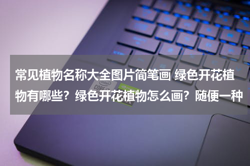 常见植物名称大全图片简笔画 绿色开花植物有哪些？绿色开花植物怎么画？随便一种