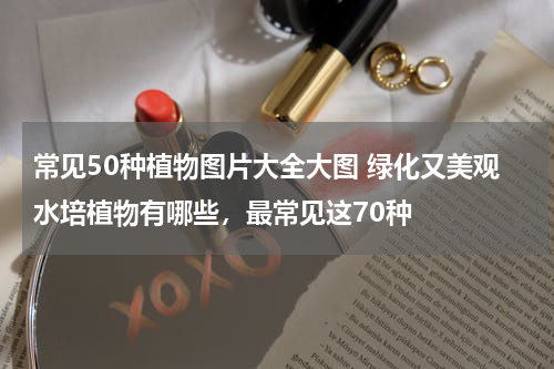 常见50种植物图片大全大图 绿化又美观水培植物有哪些，最常见这70种