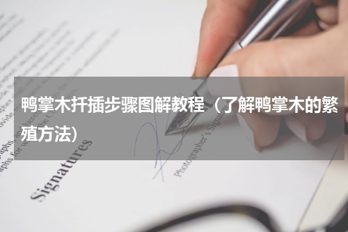 鸭掌木扦插步骤图解教程（了解鸭掌木的繁殖方法）