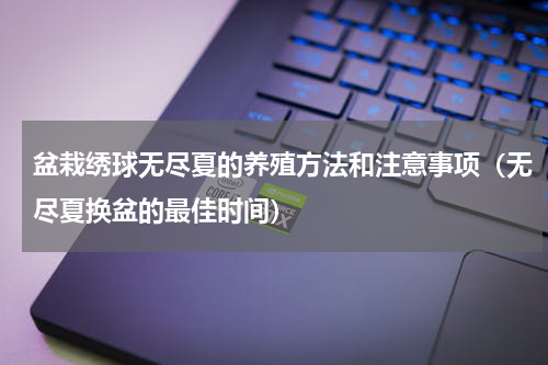 盆栽绣球无尽夏的养殖方法和注意事项（无尽夏换盆的最佳时间）