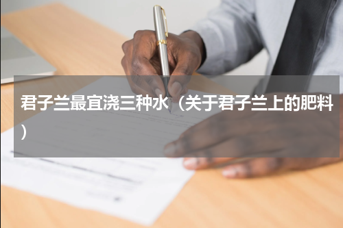 君子兰最宜浇三种水（关于君子兰上的肥料）