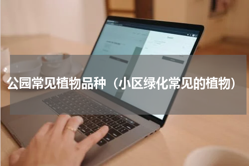 公园常见植物品种（小区绿化常见的植物）