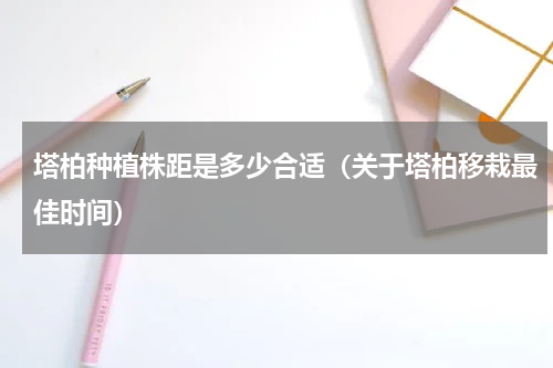 塔柏种植株距是多少合适（关于塔柏移栽最佳时间）