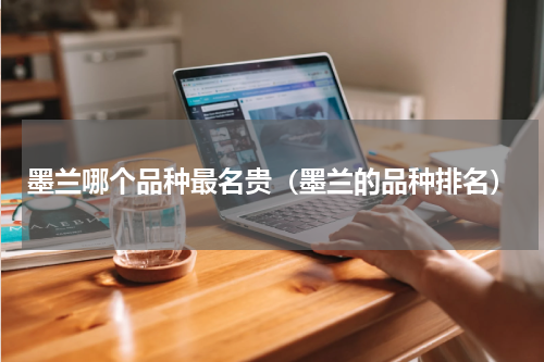 墨兰哪个品种最名贵（墨兰的品种排名）
