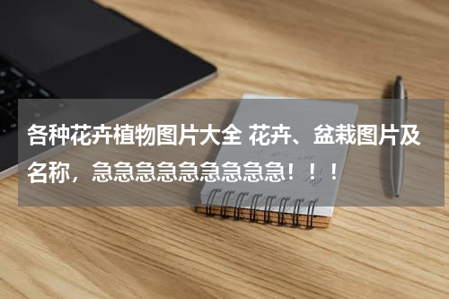 各种花卉植物图片大全 花卉、盆栽图片及名称，急急急急急急急急急！！！
