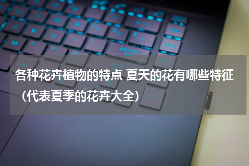 各种花卉植物的特点 夏天的花有哪些特征（代表夏季的花卉大全）